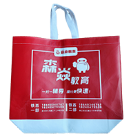 山东LB37培训班广告袋